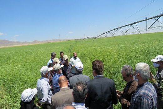 نقش شرکت‌های دانش‌بنیان در توسعه و پیشرفت طرح‌های کشاورزی