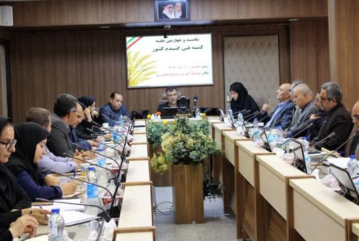 افزایش عملکرد گندم با بکارگیری تجربه گندم‌کاران پیشرو در مزارع