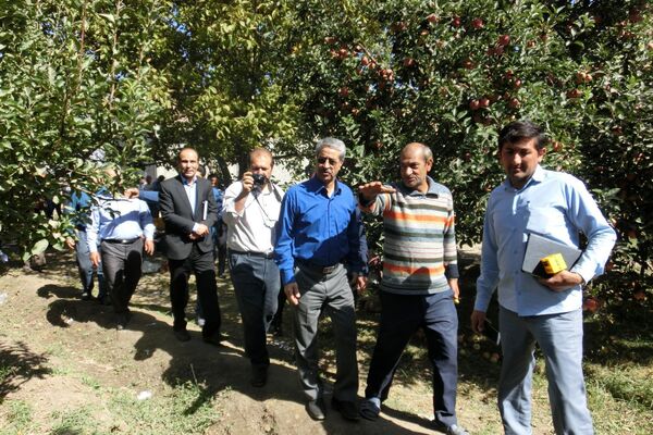 ۱۴۰۰ مرکز جهاد کشاورزی در کشور زیرپوشش طرح نظام نوین ترویج قرار دارد
