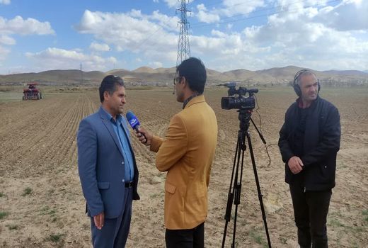 اجرای طرح جهش تولید در ۱۸ هزار هکتار اراضی دیم چهارمحال و بختیاری