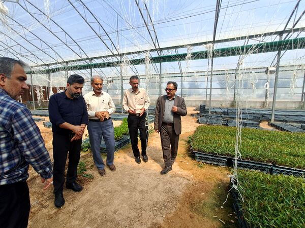 طرح ۱۱۰۴ هکتاری شهید باغبانی، نمونه‌ای از اراضی ملی واگذار شده