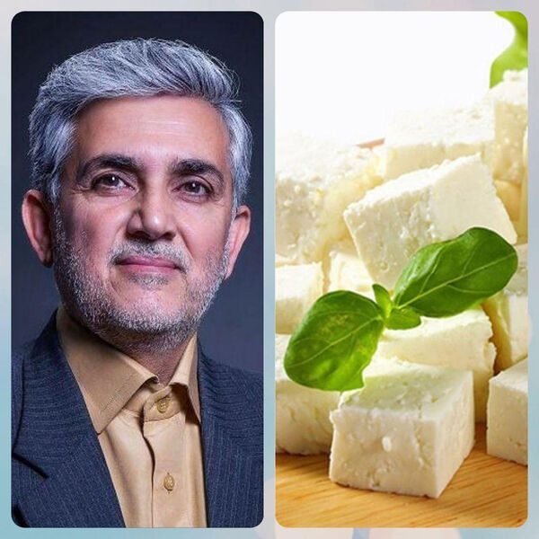 واکنش نماینده میانه در پی تخریب پنیر لیقوان به عنوان یک برند معتبر و با کیفیت جهانی