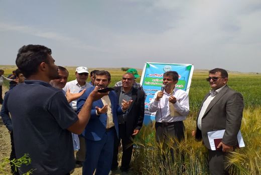 ارائه آخرین دستاوردهای علمی محققین به کشاورزان در کهگیلویه و بویراحمد