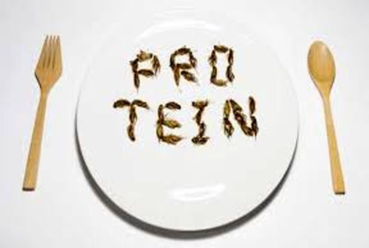 ابتکار در کشاورزی به کمک حشرات