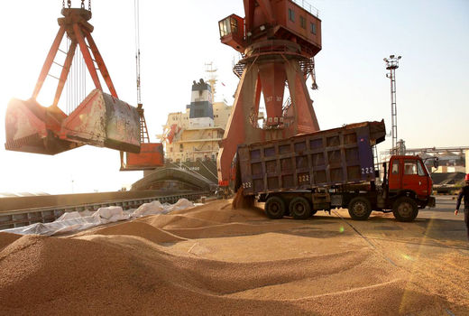 انفجار بندر شهید رجائی تأثیری بر تأمین نهاده‌های دامی ندارد

