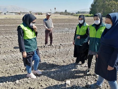 آغاز به کار مربیان جهش تولید بخش کشاورزی در مرودشت