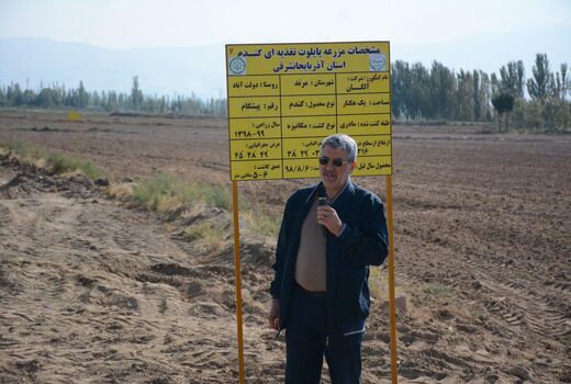  آغاز عملیات کاشت مزرعه گندم طرح الگویی پایلوت تغذیه گیاهی کشور در استان آذربایجان شرقی