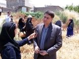 خرید توافقی ۳۰ هزار تن گندم توسط بخش خصوصی در یک ماه اخیر
