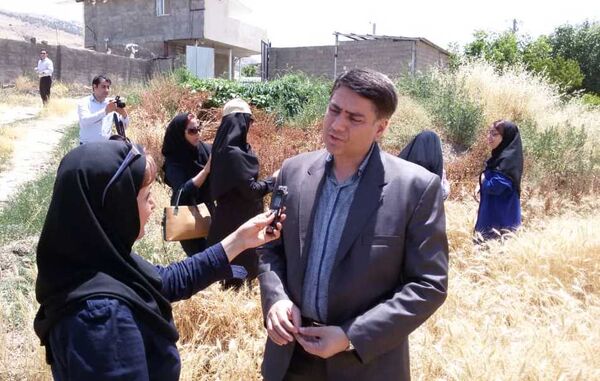 خرید توافقی ۳۰ هزار تن گندم توسط بخش خصوصی در یک ماه اخیر