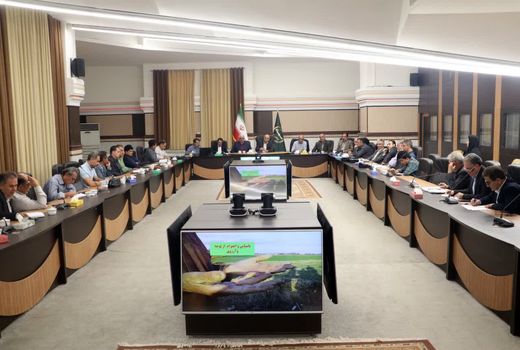 نشست منطقه‌ای کمیته فنی بذر کشور در قزوین برگزار شد