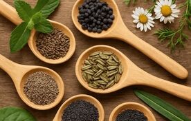 دستورالعمل صدور تأییدیه کیفیت بذر توده‌های بومی و ارقام محلی به تصویب رسید
