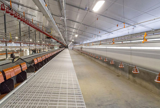 تاثیر قطع برق بر سفره مردم