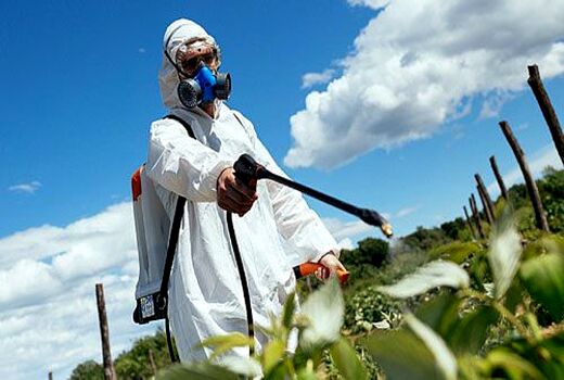 کاهش 50 درصدی استفاده از سموم شیمیایی در چهارمحال و بختیاری 