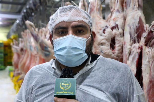  عرضه گوشت های بسته بندی وارداتی در بازار 