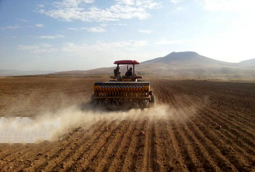 اجرای طرح پایداری تولید در دیمزارهای استان قزوین با ابلاغ ۱۲۰ هزار هکتار