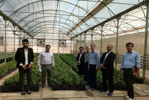 تولید بیش از 5 میلیون اصله نهال شناسه دار با امکان صدور گواهی بهداشتی در استان البرز