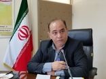 بیش از دو میلیون هکتار از مزارع کشور زیرکشت گندم قرار گرفت