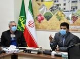آغاز کشت قراردادی گندم و کلزا در استان آذربایجان شرقی 