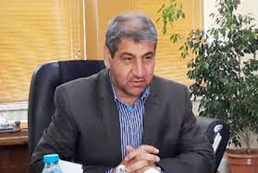 بیمه محصولات کشاورزی تنها راهکار جبران خسارت‌های وارده به کشاورزان است