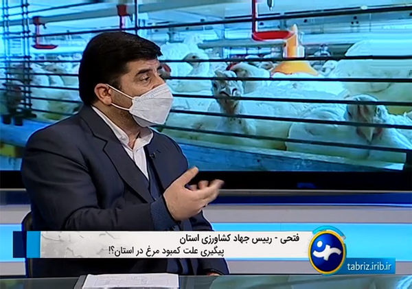 کمبودی در عرضه مرغ شب عید در استان آذربایجان شرقی نداریم