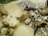 سیل ۲ میلیارد و ۵۰۰ میلیون ریال به بخش دام شیروان خسارت زد