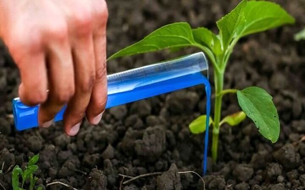 شناسایی ۷۰۰ شرکت دانش‌بنیان در بخش منابع طبیعی