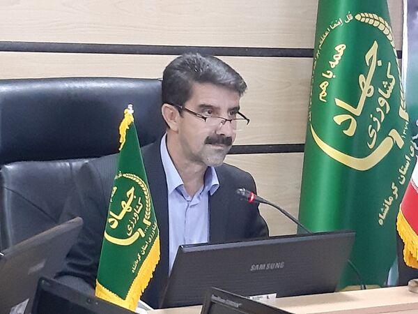 پیش‌بینی تولید بیش از ۸۵۰ هزار تن گندم در استان کرمانشاه
