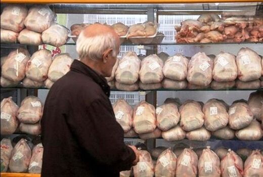 هیچ استانی جز خراسان شمالی مصوبه تنظیم بازار گوشت مرغ را اجرا نکرد 