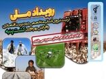دوره تخصصی پنبه با هدف آموزش و توانمندسازی کارشناسان برگزار می‌شود
