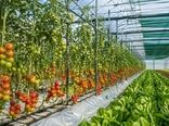 گلخانه‌ها و سایه‌بان‌ها؛ راهکار کشت کنترل‌شده برای تولید محصول سالم‌تر