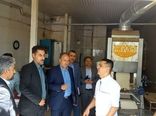 بازدید سرپرست سازمان جهاد کشاورزی آذربایجان غربی از نانوایی‌های سطح شهرستان ارومیه/ وضعیت مطلوب ذخایر استراتژیک کالای اساسی در استان 