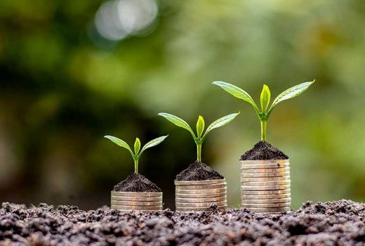 ابزارهای نوین تأمین مالی می‌توانند امنیت غذایی کشور را تقویت کنند