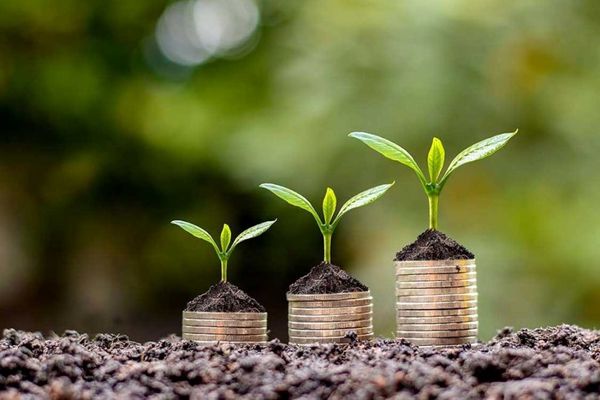 ابزارهای نوین تأمین مالی میتوانند امنیت غذایی کشور را تقویت کنند