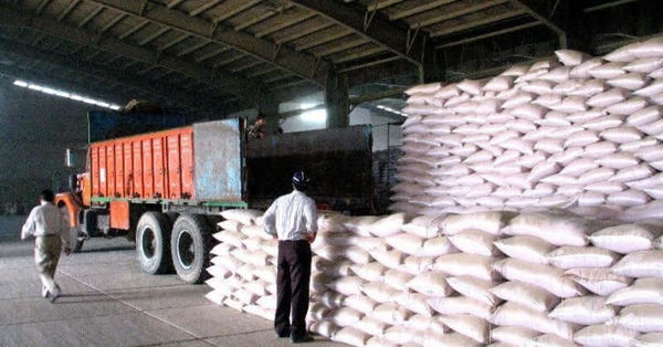 توزیع بیش از ۴۷ هزار تن کود شیمیایی در قزوین؛ افزایش ۲۷ درصدی نسبت به سال گذشته