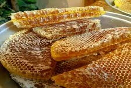 ۸۵ درصد تولیدات عسل آذربایجان غربی صادر می شود