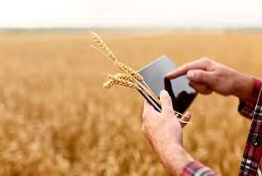 مدیریت دانش نظام نوین ترویج کشاورزی در خرمشهر