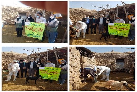 در هفته بسیج ارودی جهادی در شهرستان رفسنجان برگزار شد.