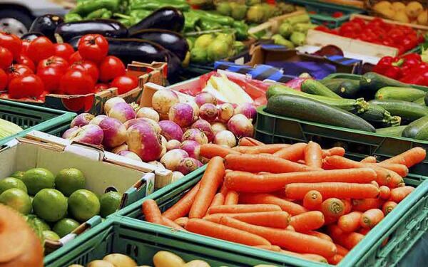 کشاورزی چهارمحال و بختیاری در مسیر تولید محصولات غذایی سالم