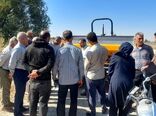  افزایش بهره‌وری گندم با حفظ بقایای گیاهی و به‌کارگیری خاک‌ورز حفاظتی