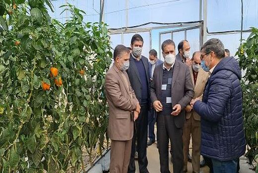 بهره‌برداری از 4 واحد گلخانه ای در شهرستان مانه و سملقان 
