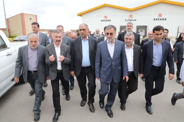 بازدید وزیر جهاد کشاورزی از زنجیره تولید گوشت مرغ ساوانا در شهرستان گلوگاه