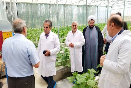 آغاز بهره‌برداری از یک واحد گلخانه هیدروپونیک تولید خیار در ارومیه 