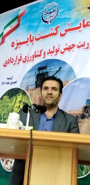 خودکفایی در تولید گندم با همت کشاورزان محقق می شود 