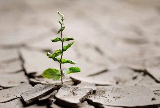 کشاورزان برای تاب‌آوری در برابر تغییرات اقلیمی آموزش ببینند

