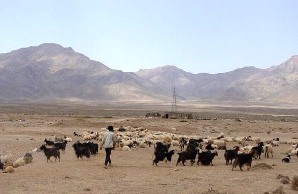 پنج میلیارد ریال در مناطق عشایری ابرکوه هزینه شد