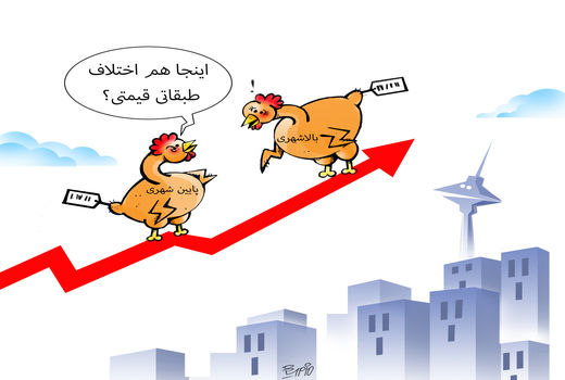 هر کجای شهر قیمت مرغ متفاوت است/ کارتون: فیروزه مظفری