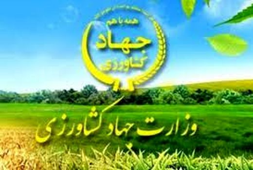 انتشار مرحله هفتم لیست تخصیص ارز کالاهای اساسی و نهاده‌های بخش کشاورزی