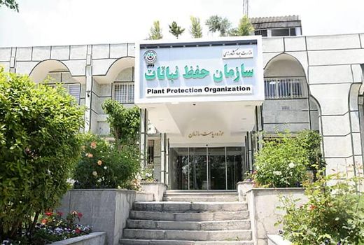 انحلال سازمان حفظ نباتات خلاف قانون است و صادرات را متوقف می‌کند