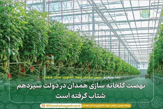 نهضت گلخانه سازی همدان در دولت سیزدهم شتاب گرفته است
