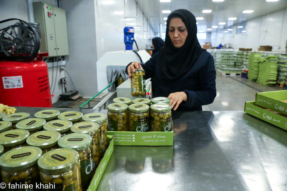 از لمس شاخه تا عصاره ی نور  